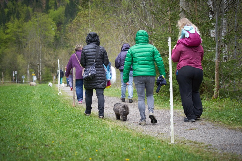 Wanderer auf einem Bergpfad im Höllengebirge