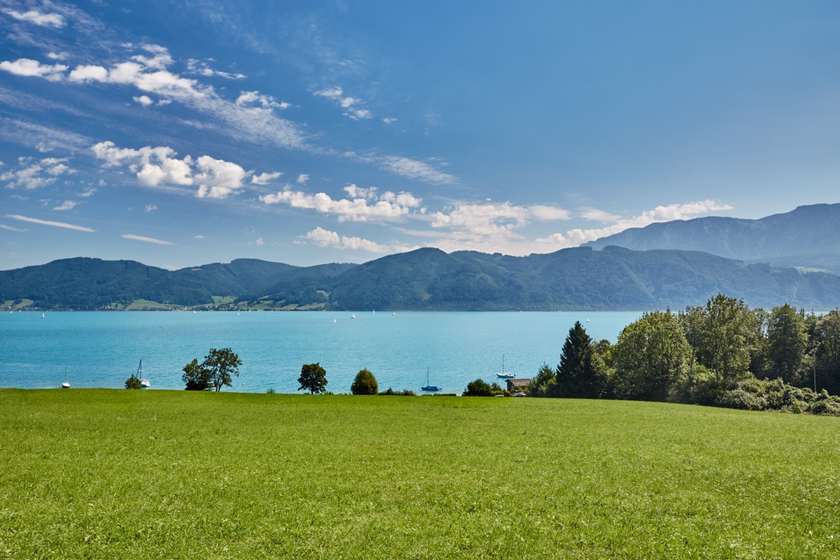 Naturweg am Attersee
