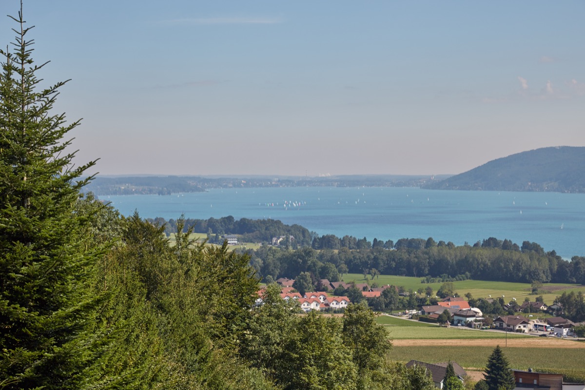 Naturbelassenes Ufer am Attersee