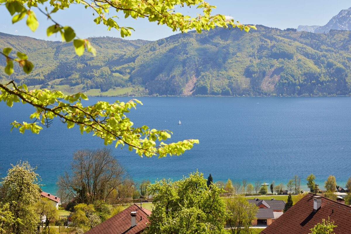 Wiesen und Berge am Attersee