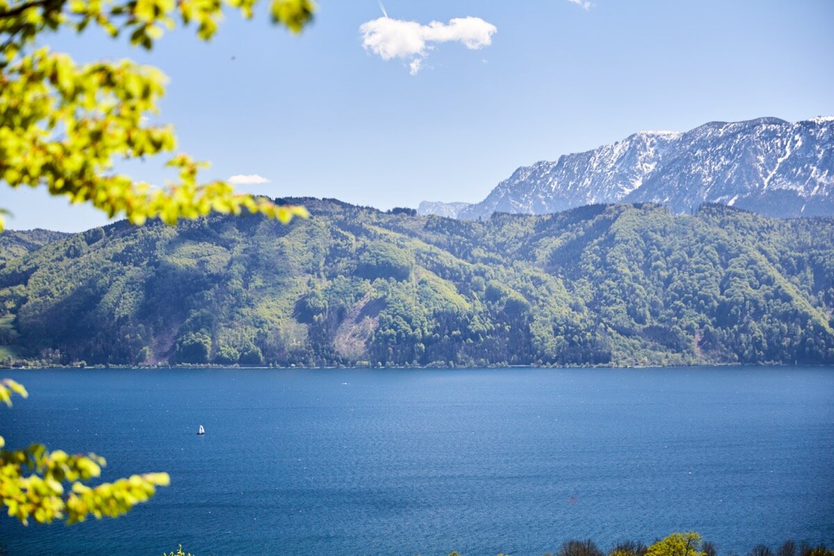 Radweg am Attersee mit Seeblick