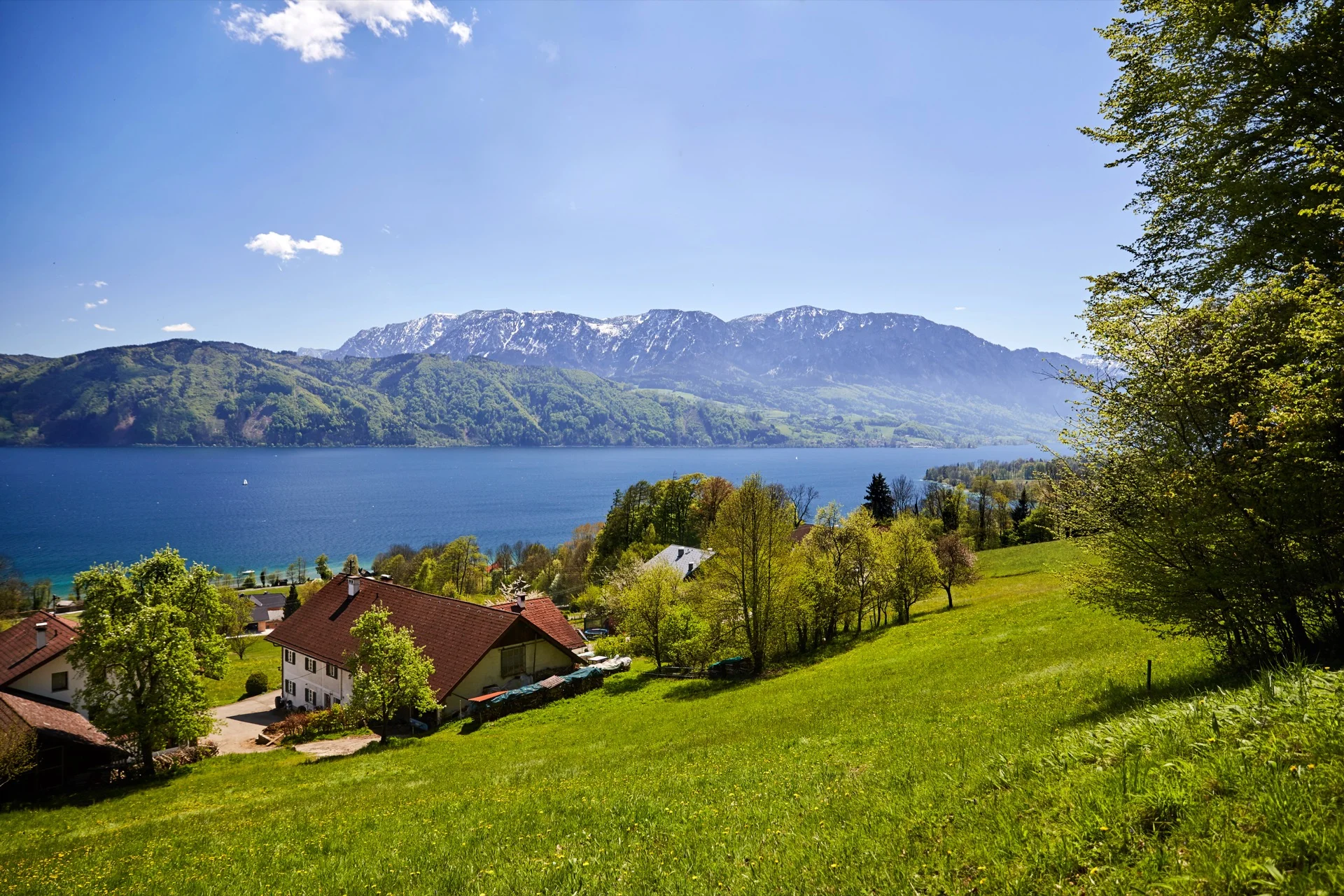 Attersee Panorama im Frühling